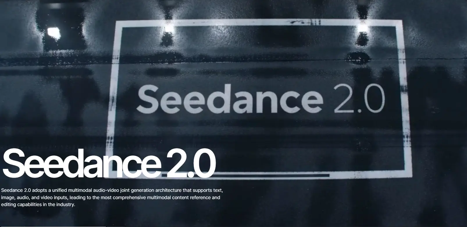 Seedance 2.0 Video
