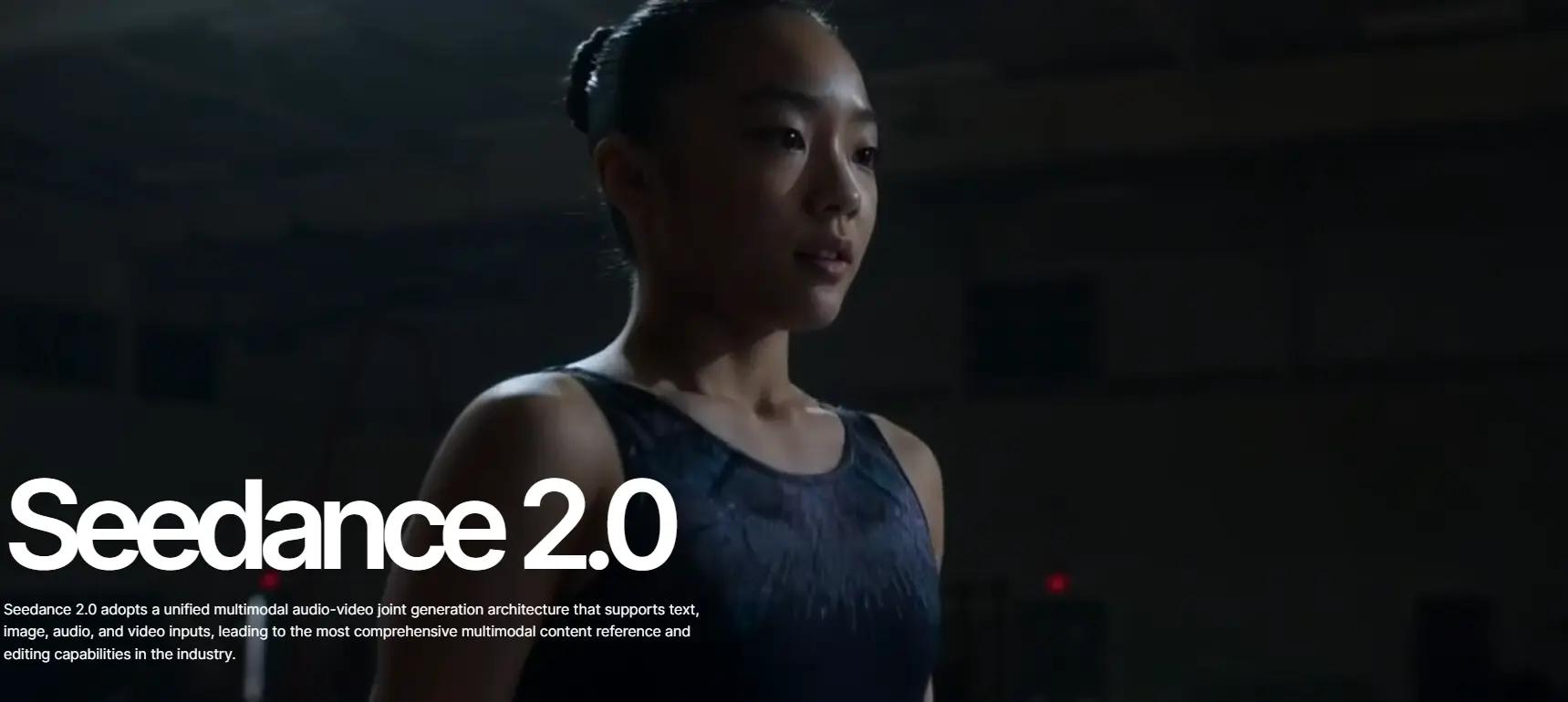 Seedance 2.0 AI video